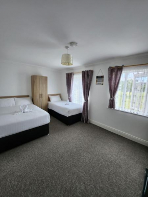 Bright elegant room park view